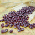 Adzuki bean 2016 cosecha 4.5-6.0mm mercado de China con alta calidad